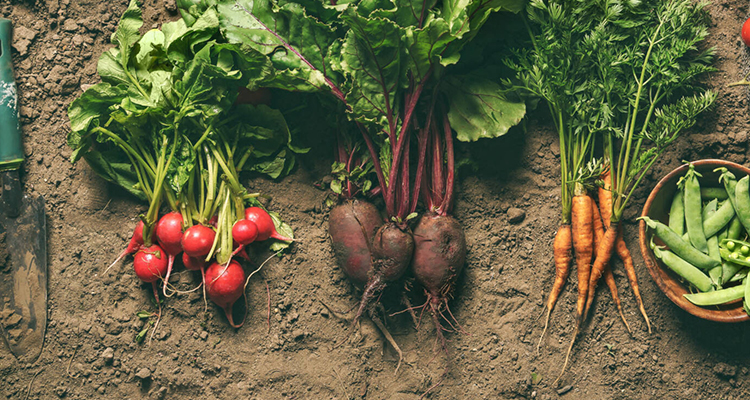 Agricultural Products