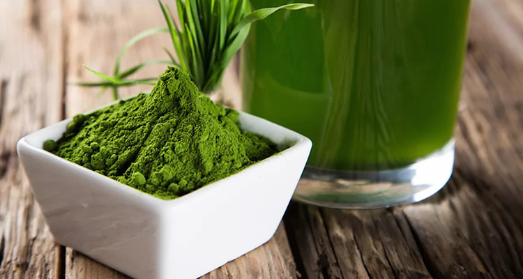 Plant Extract