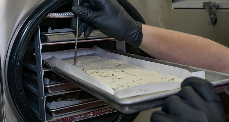 Freeze-Drying Process