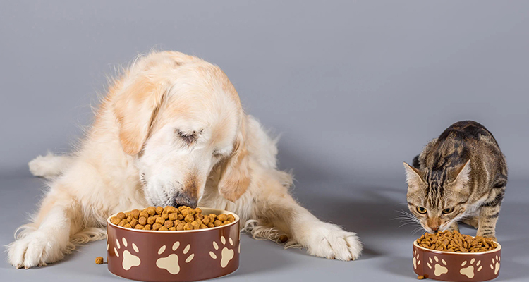 Pet Food/Snacks