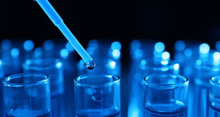 Customized Freeze-drying Research