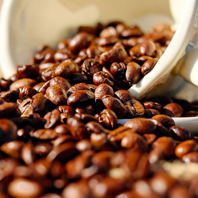 Coffee Cold Brew Extraction Equipment