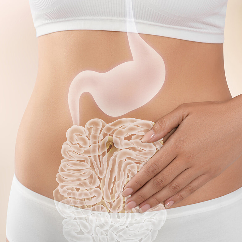 Freeze-Dried Vermicelli Forming Machine for Gastrointestinal Health Freeze-Dried Products 