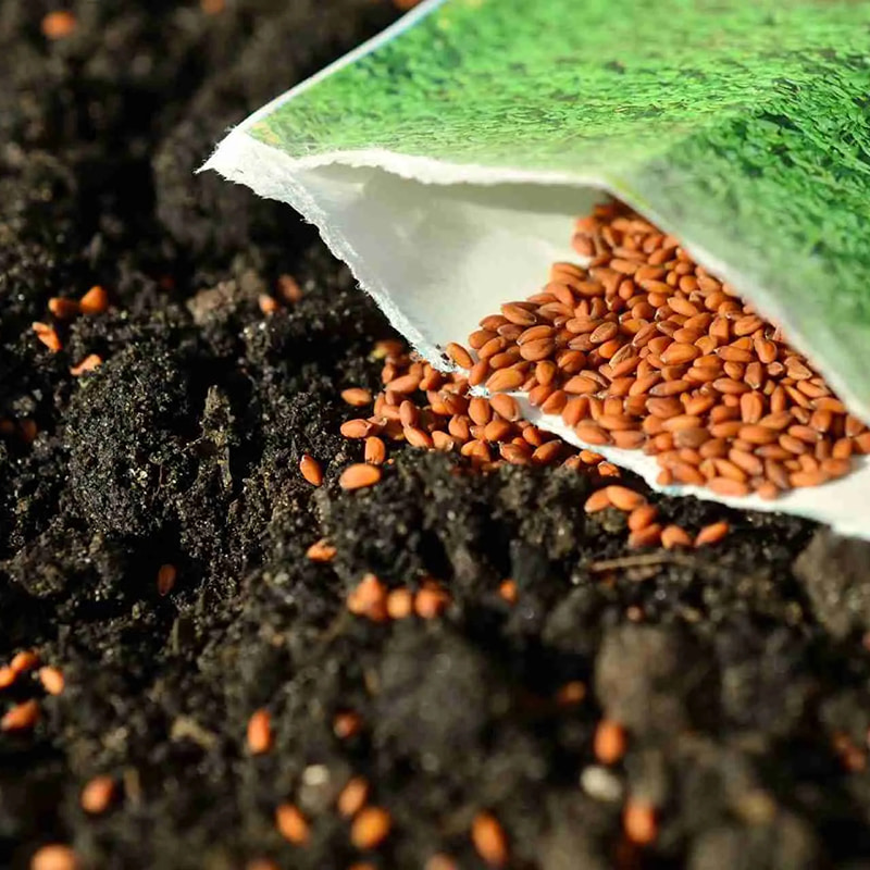 Deep Freezer for Seed & Fungus 