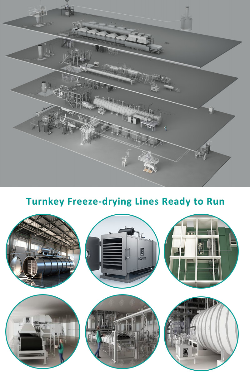 Industrial Freeze Drying Line