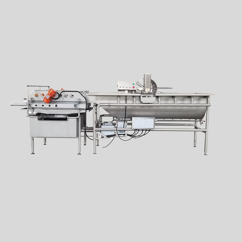 Vortex Bubble Cleaning Line for Pet Food (Fruits and Vegetables)