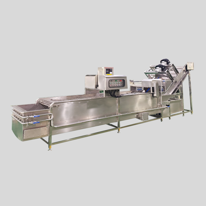 Bubble Cleaning Machine for Fruits and Vegetables