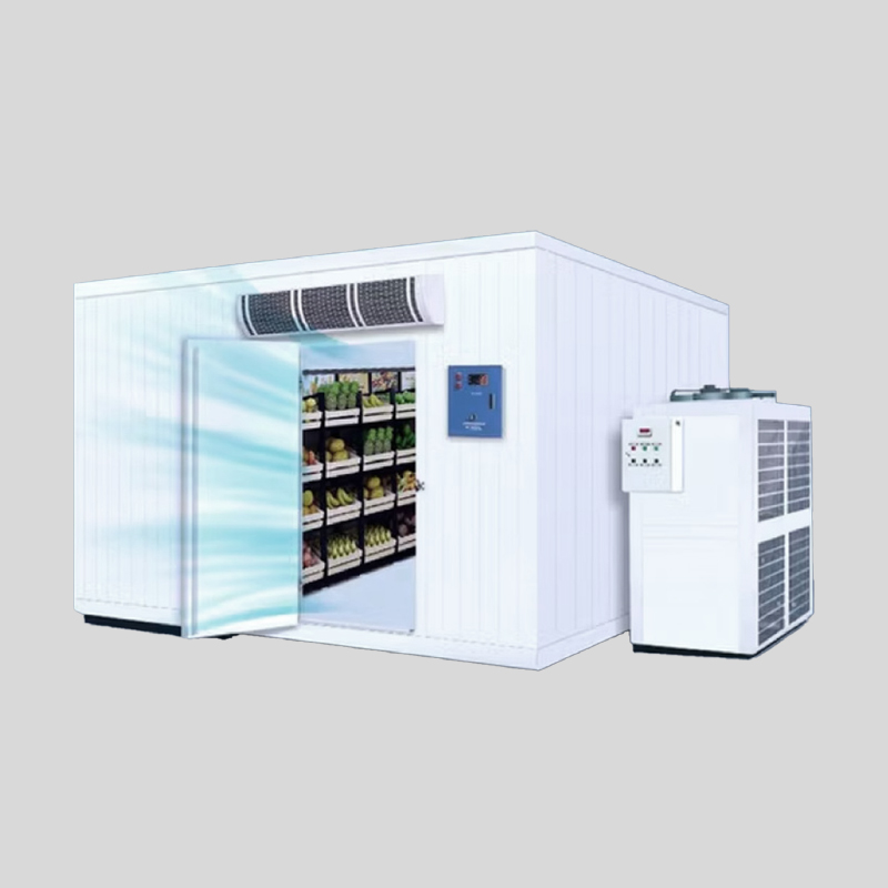 Quick-Freeze Warehouse for Fruits and Vegetables
